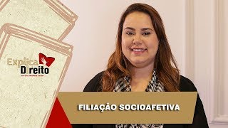 Explica Direito Filiação Socioafetiva  2019 [upl. by Cann543]