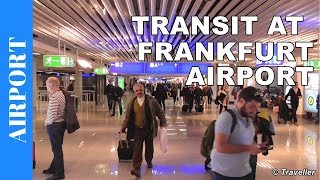 TRANSIT WALK AT FRANKFURT Airport FRA Terminal 1  Connection Flight Transfer Arriving amp Departing [upl. by Imrots]